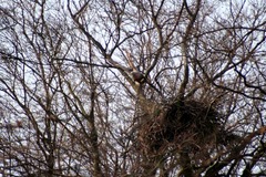 Killikus&reg; Fotographie